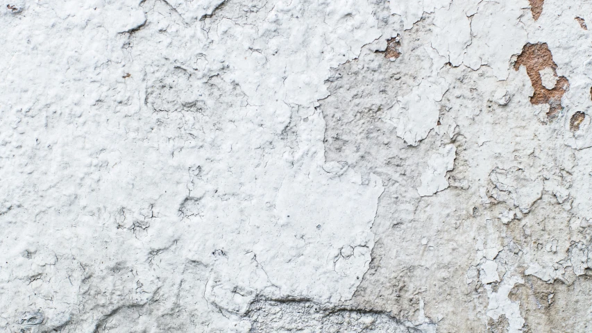 a closeup of white and brown paint on concrete