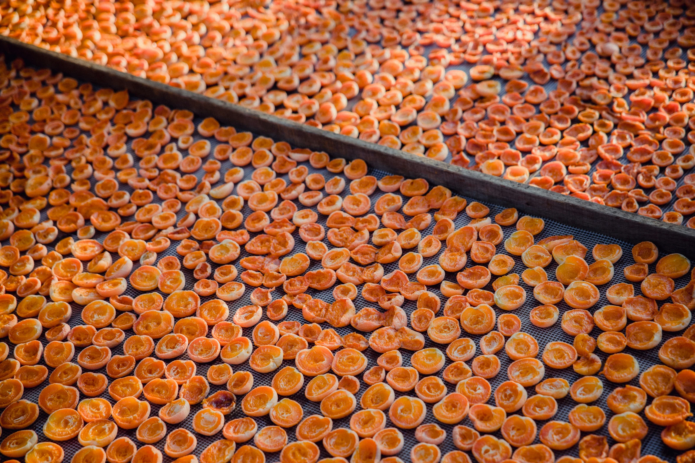 an image of many oranges on a table