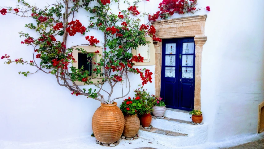 a house with red flowers growing on it's exterior