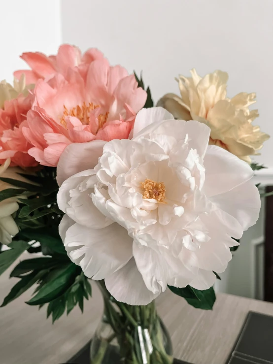 three flowers sit together in a vase