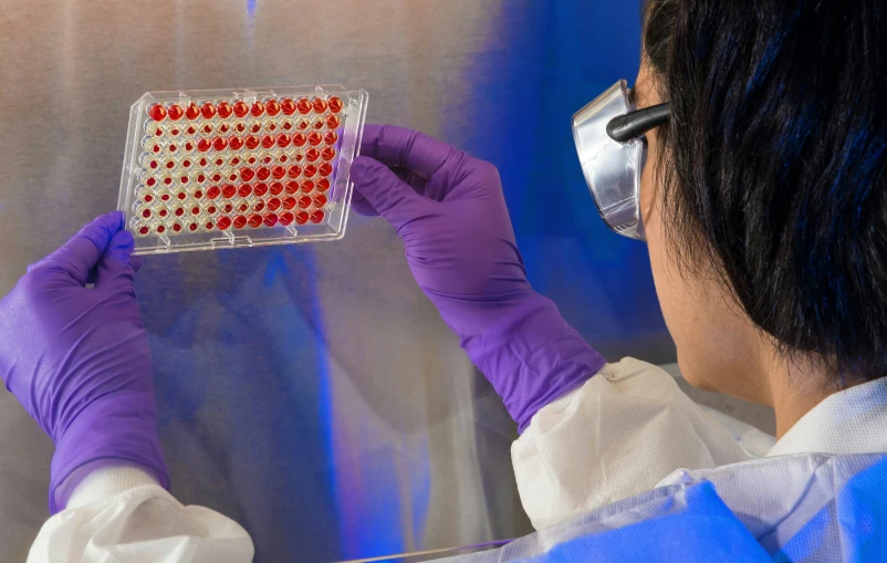 a male wearing purple gloves looking at a glass