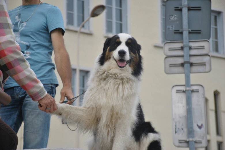 a man walking his dog with his paw in the air