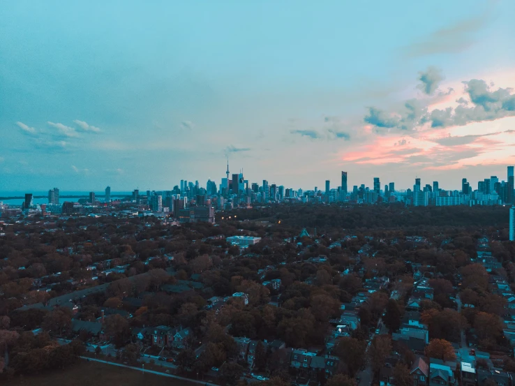 this is a view of a city and its surrounding surrounding trees