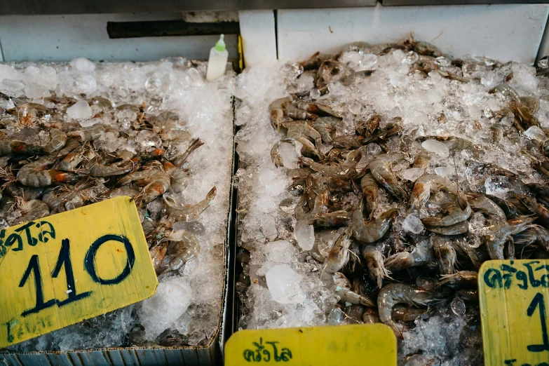 seafood stands are shown with ice and water