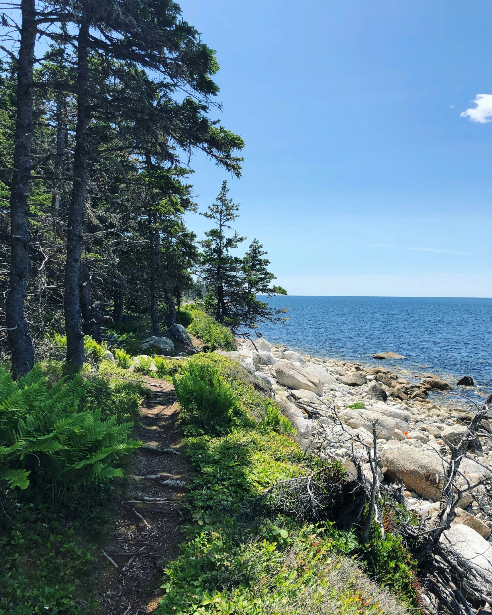 an ocean path leads along the shoreline towards an island