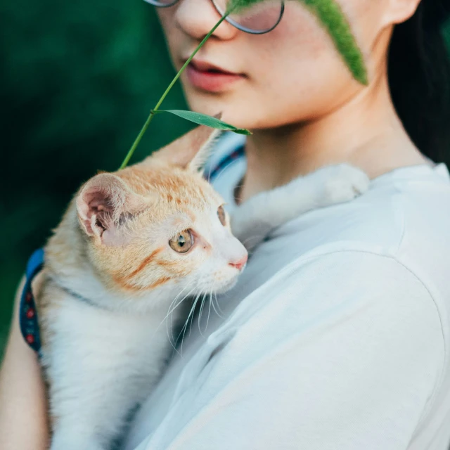 a person holds a cat with long thin grass on it's head