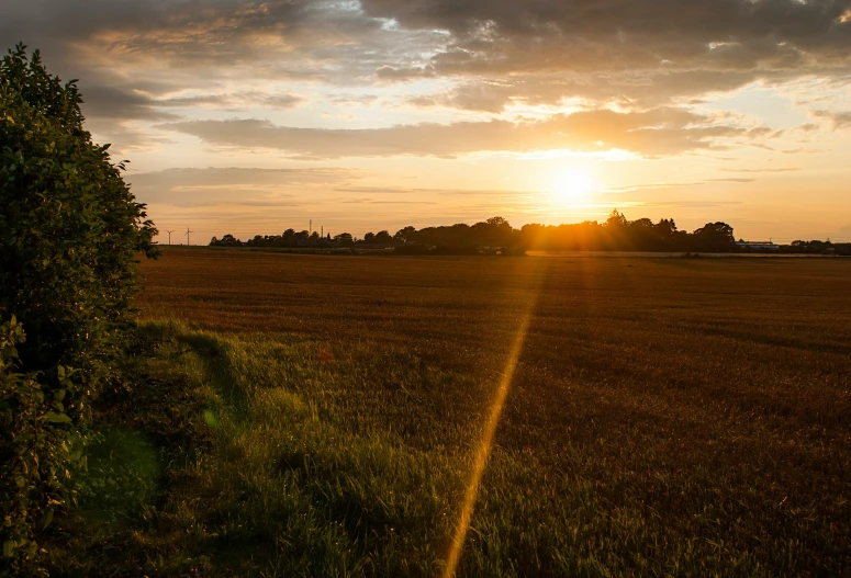 the sun shining brightly in a field with trees