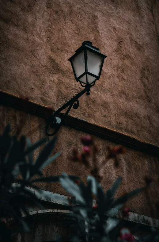 a small lamp post and plants on an old building