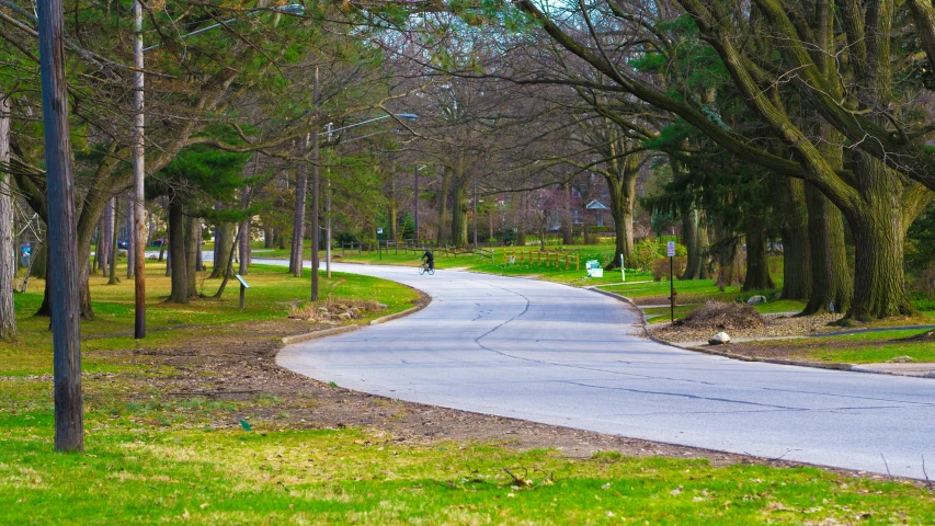 a small street surrounded by trees near a road