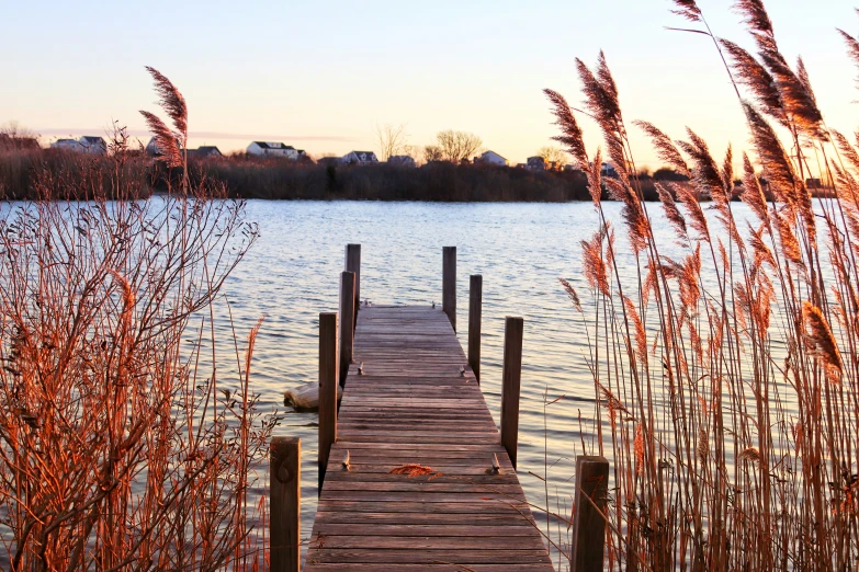 a pier is sitting on the water with weeds