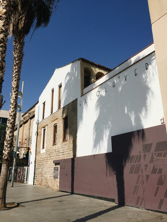 palm trees and a building in an urban area