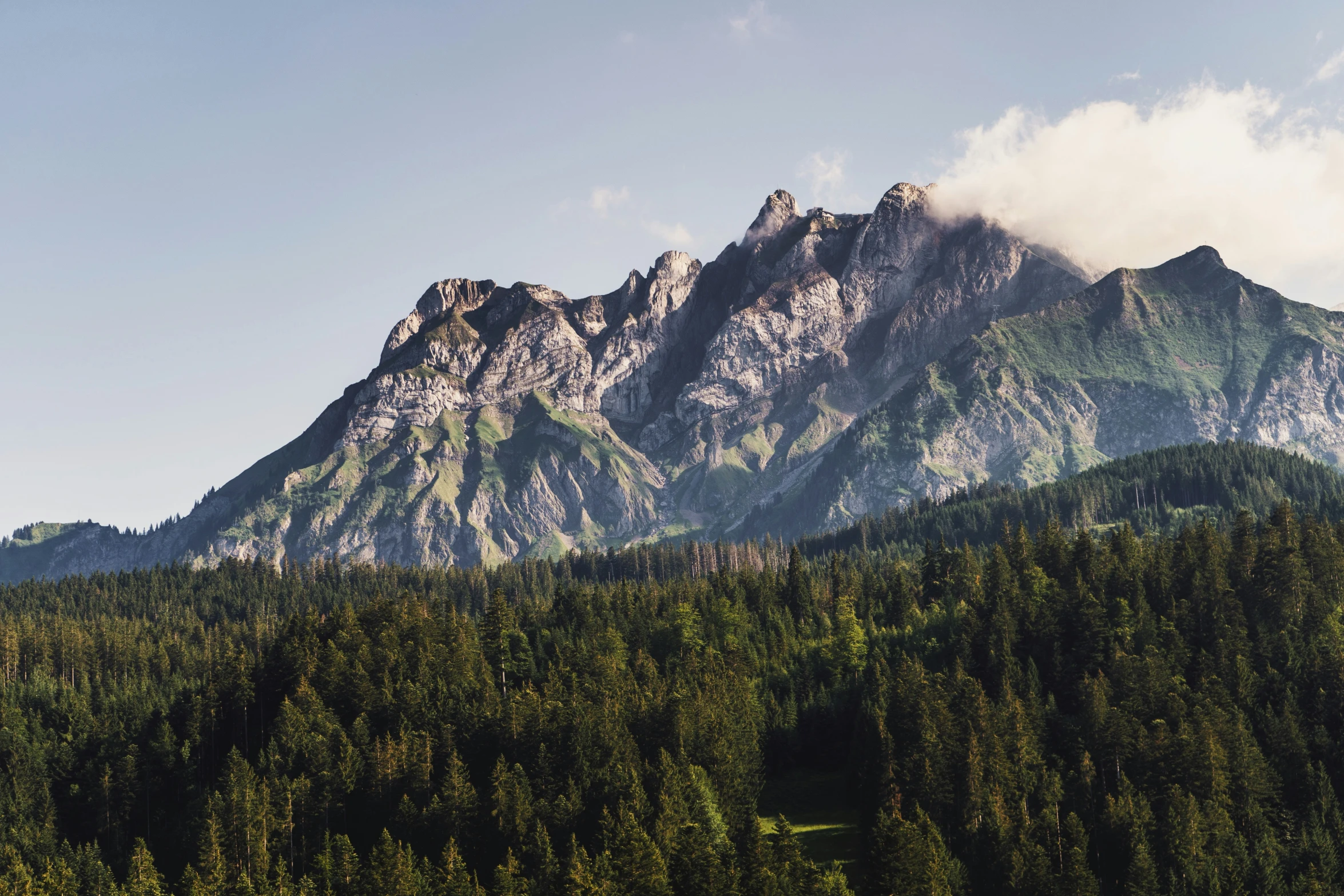 a group of mountains with a forest below