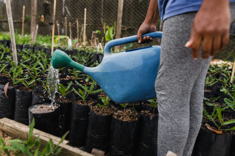 a man is pouring water from a watering can into the garden