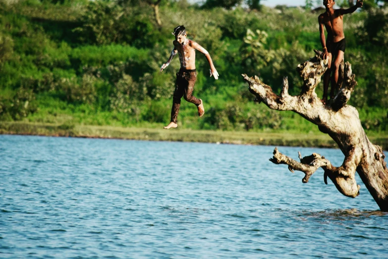 two people jump off an tree nch into the water