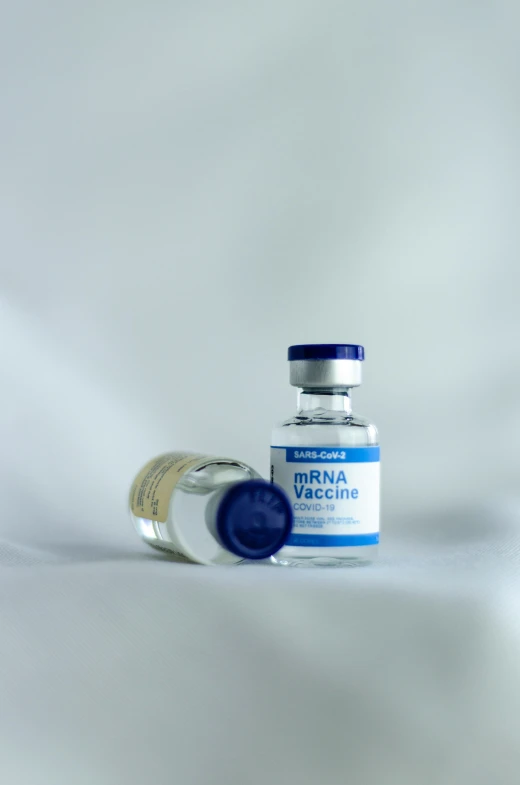 a bottle of urna vaccine is pictured against a white backdrop
