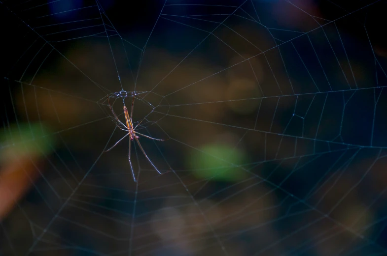 a spider web in front of a blurry background