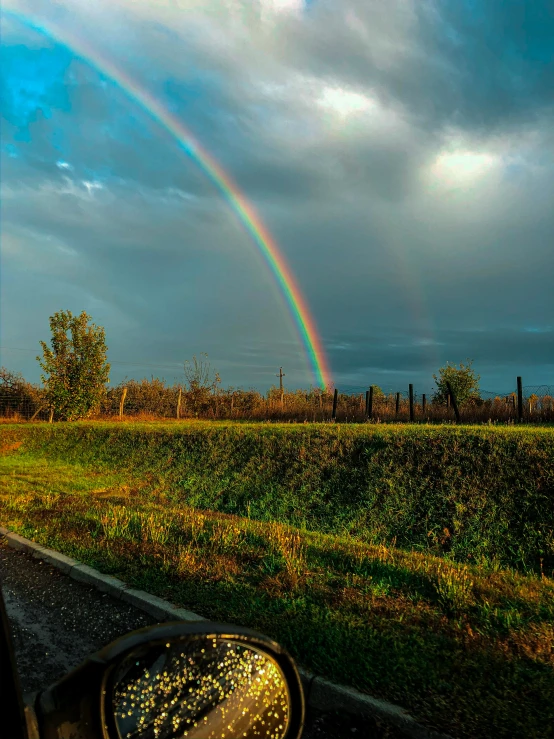 a rainbow in the background, with a field of grass behind it