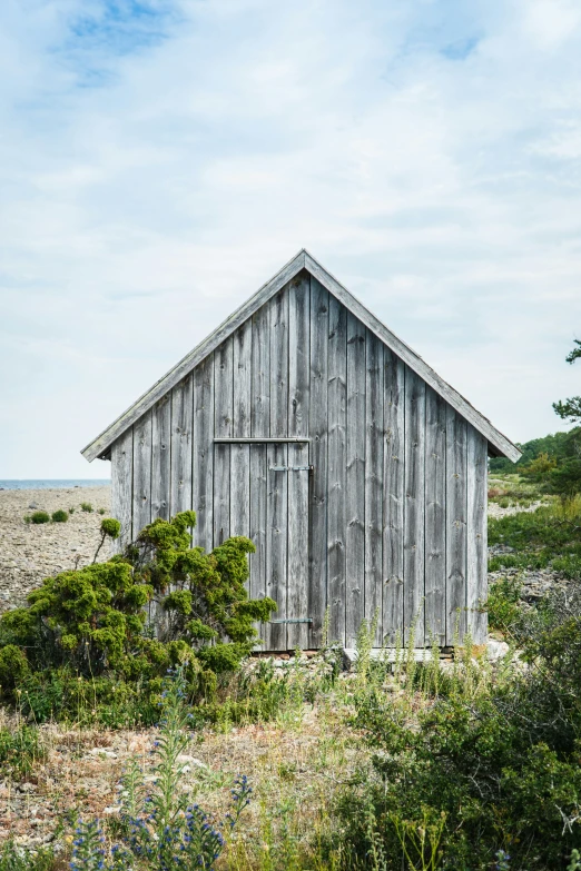 an old wooden barn in a field covered in weeds and flowers