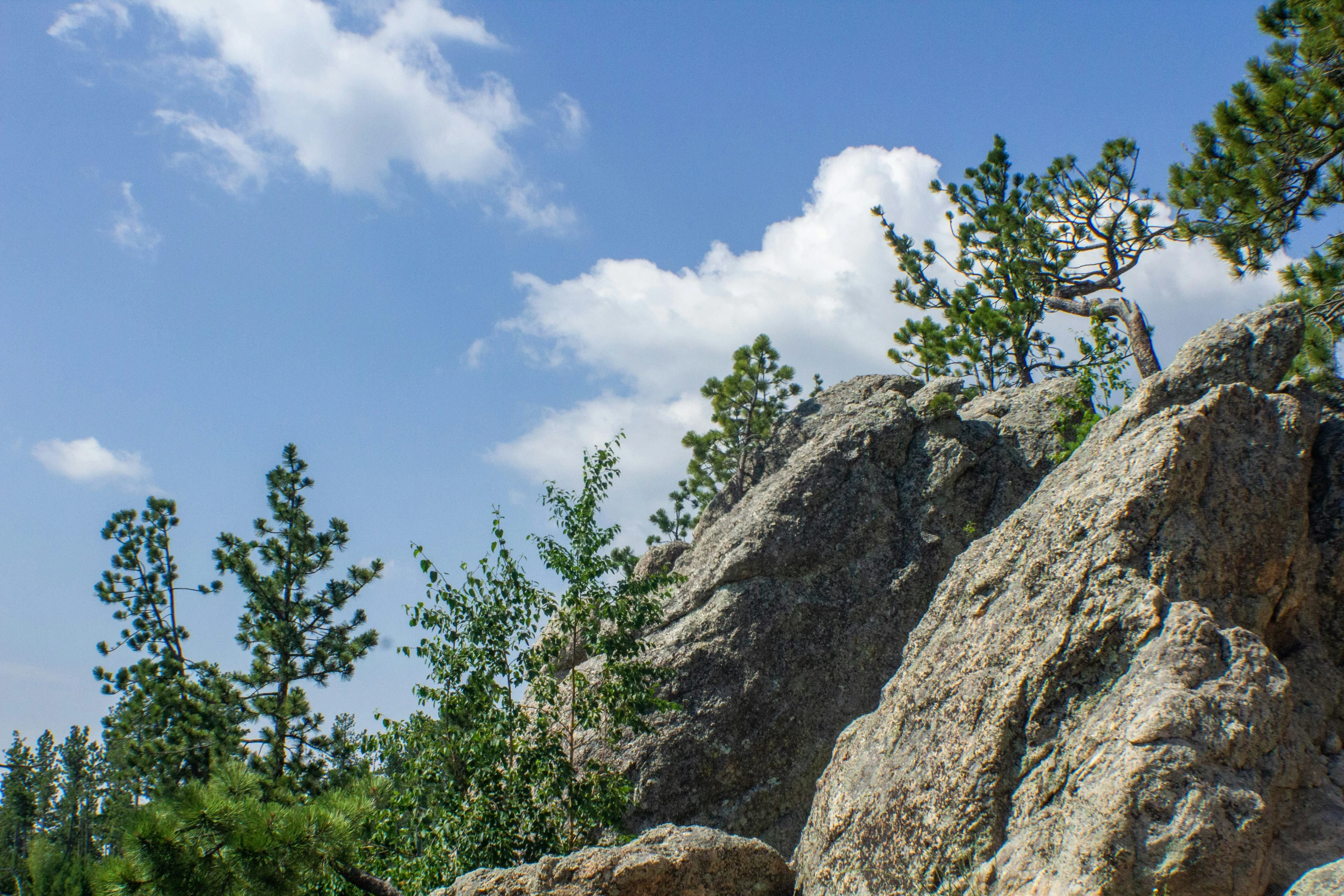 a po of rocks and trees during the day