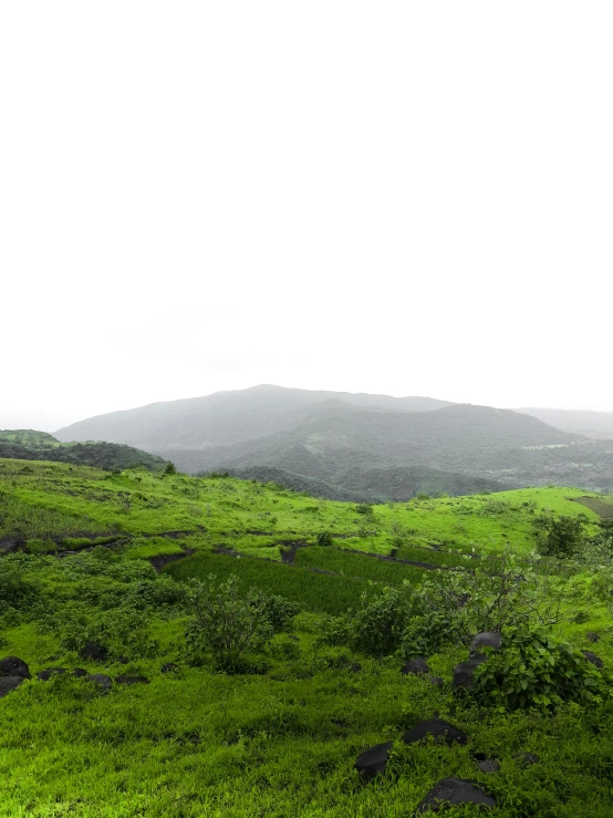 there is a mountain and green hills in the distance