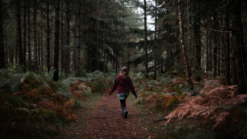 a person walking on a path through a lush green forest