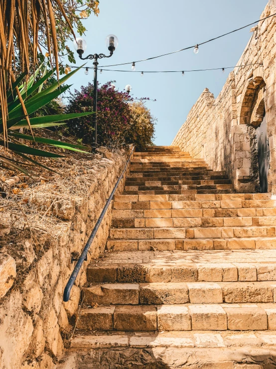 some stone steps and some trees and a light pole