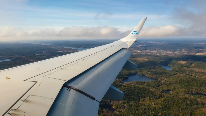 wing of a plane flying above the tree covered area