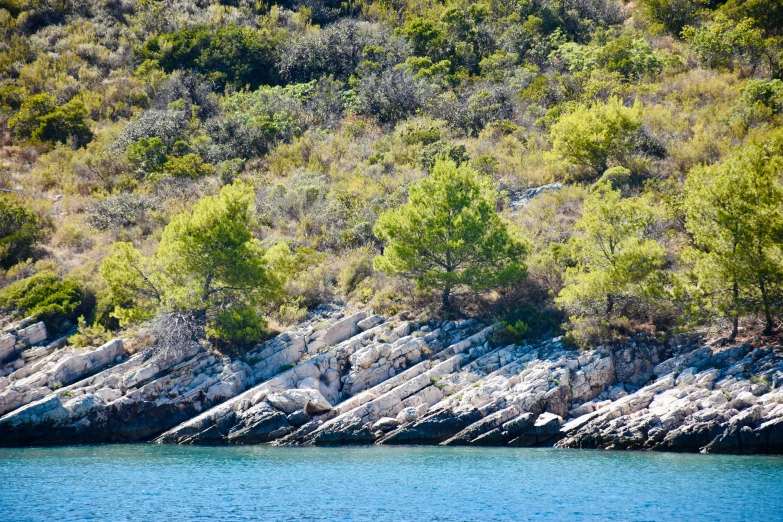 a boat sitting on the water by some trees