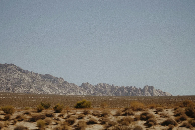 a mountain range with trees and shrubs