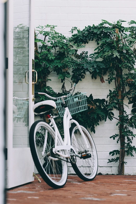 a white bike parked outside of a building next to a tree