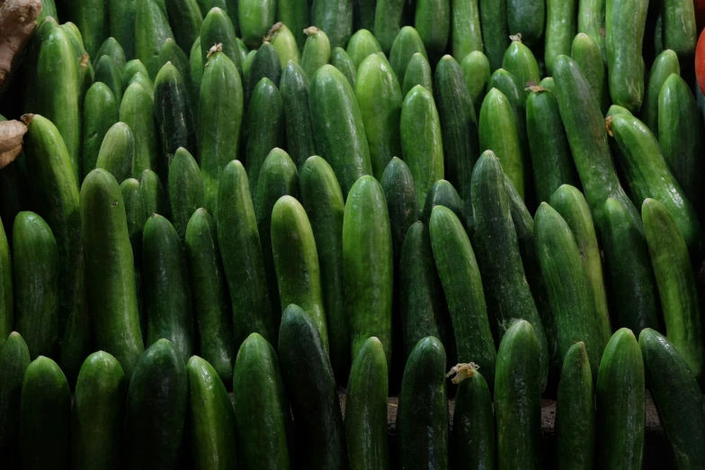 multiple rows of cucumbers at a market stall