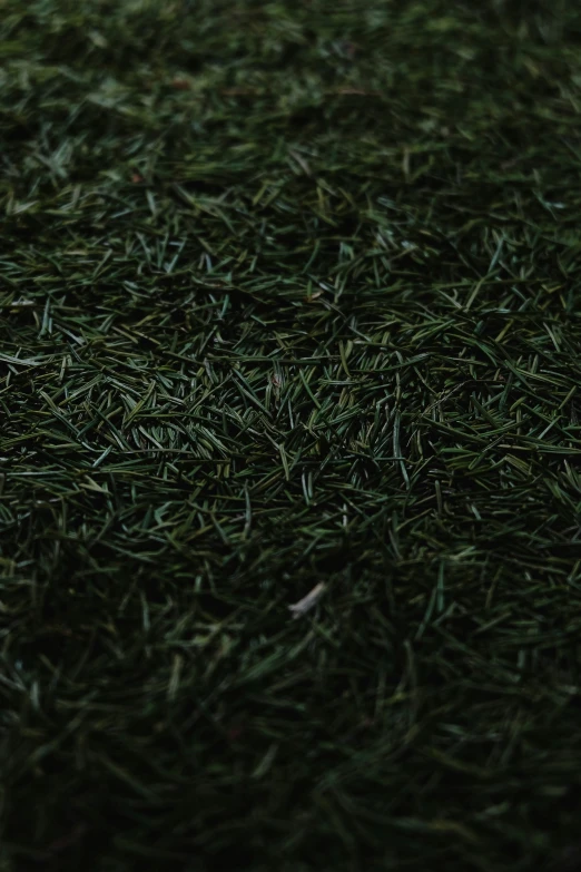 an image of a green rug with no grass