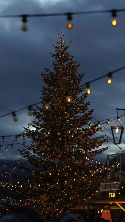 christmas tree with lights against dark night sky