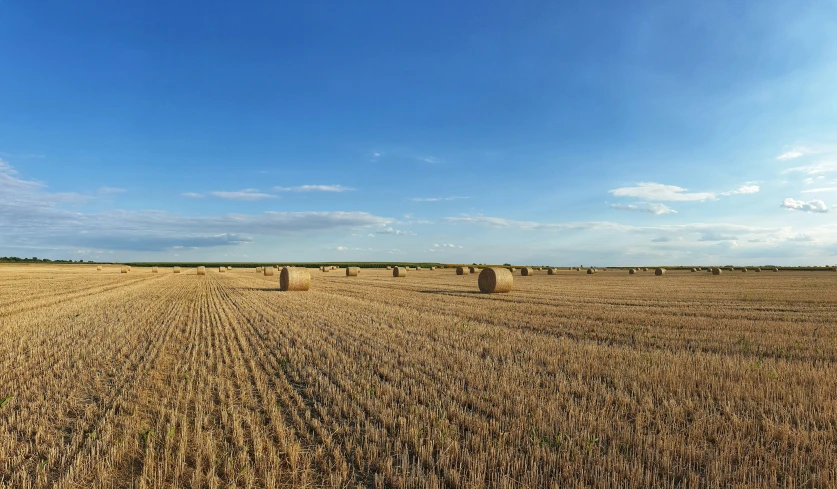 a large field full of round hay bales