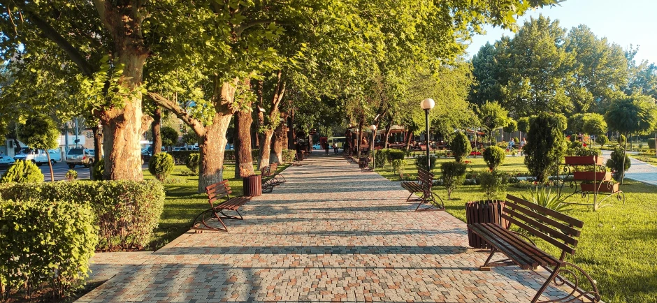 a park has lots of trees and benches