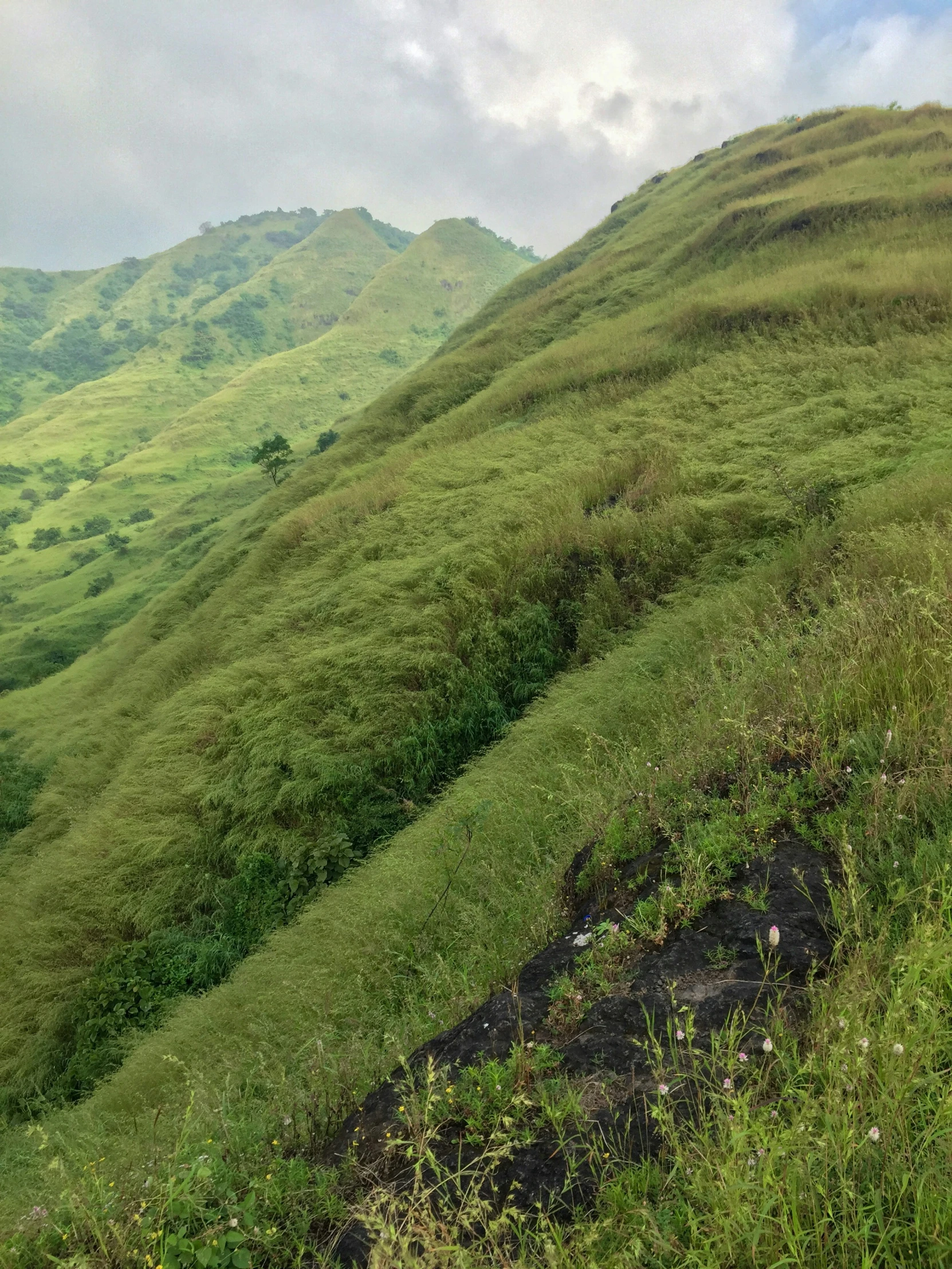 a green hill and blue sky with clouds