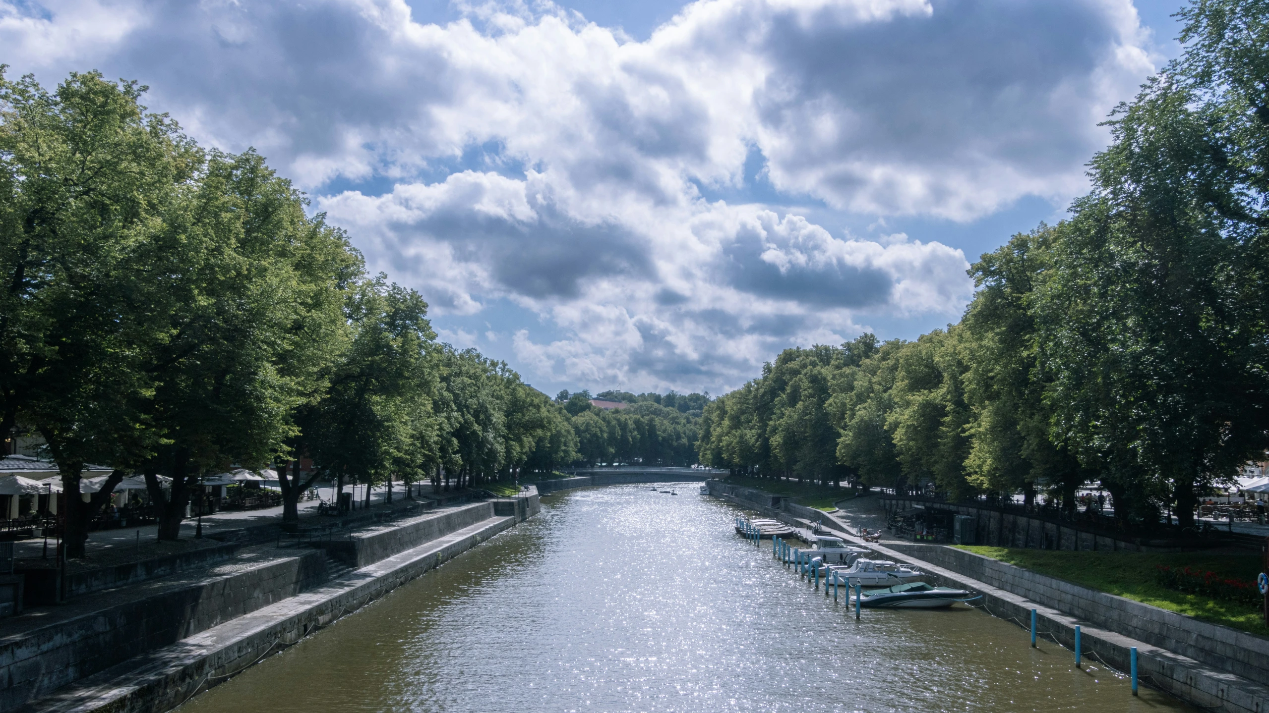 boats are lined up on the river bank