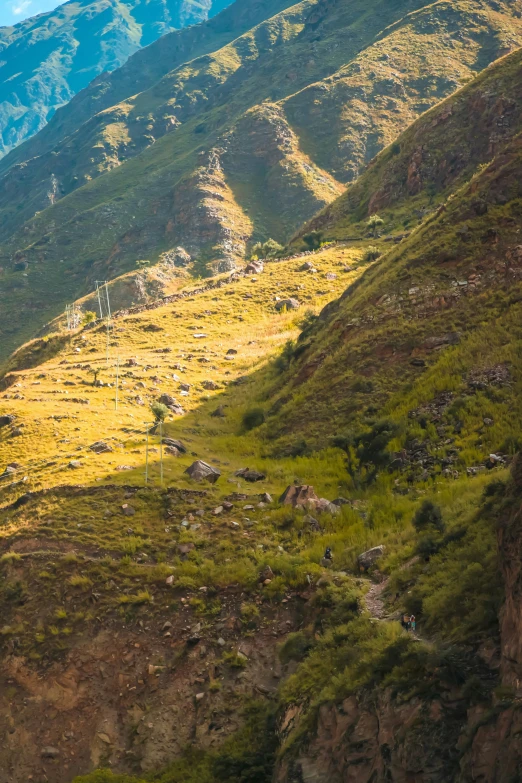 a mountain side is covered with some lush green grass