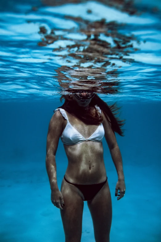 a woman wearing a white bikini swims underwater with many fish