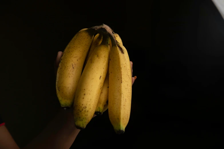 a hand holds a bunch of bananas with ripe bananas