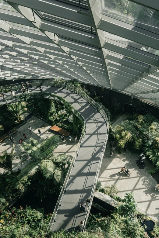 an aerial view of a walkway with trees and shrubs