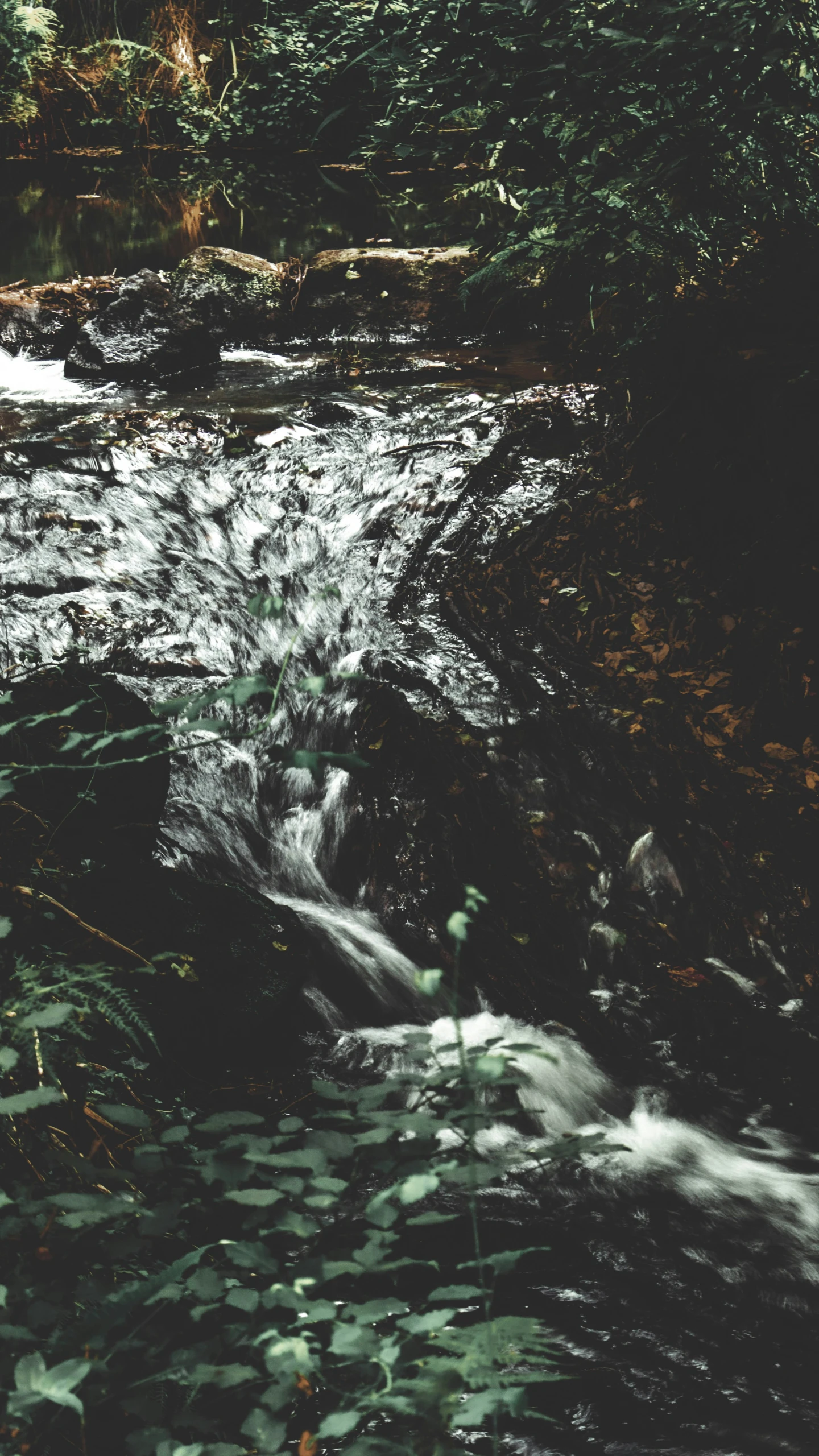 the water is rushing next to the rocks in the woods