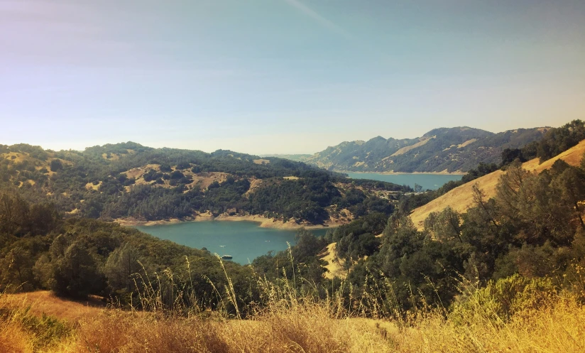 the view of a lake through some grass