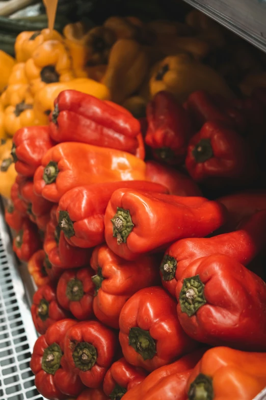 a lot of red bell peppers that are on display