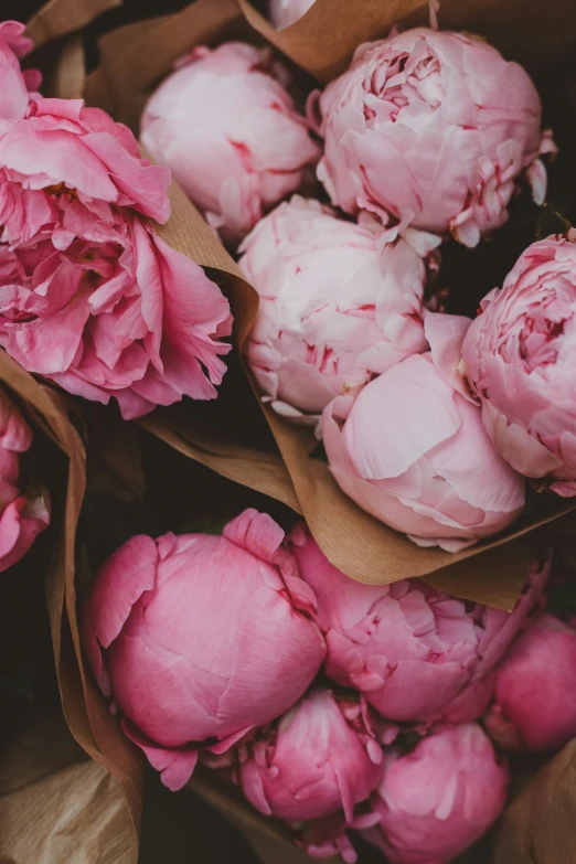 some pink flowers that are in a bowl