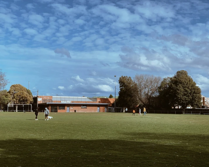 some children are on a grassy field flying a kite