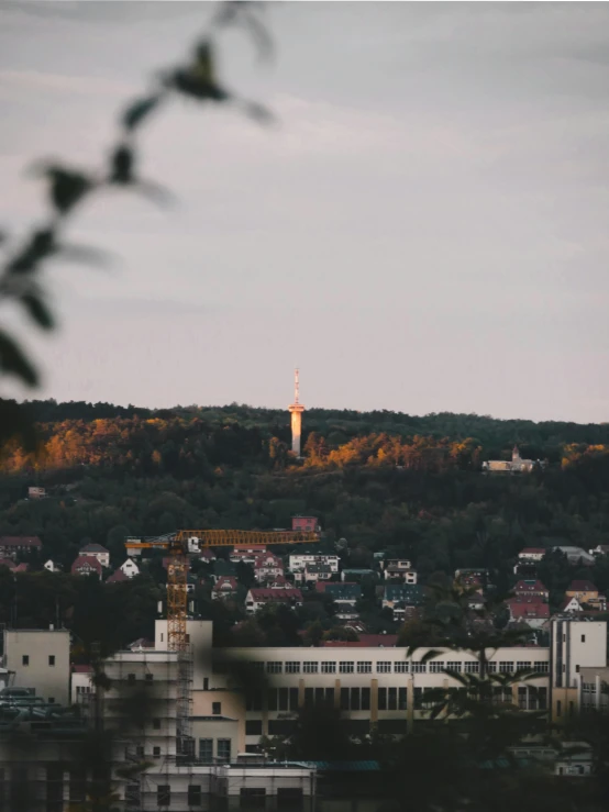 a city landscape with trees and buildings below