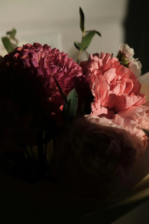 several flowers sitting on top of a plate in the sun