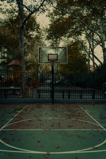 a basketball hoop with leaves scattered on the ground