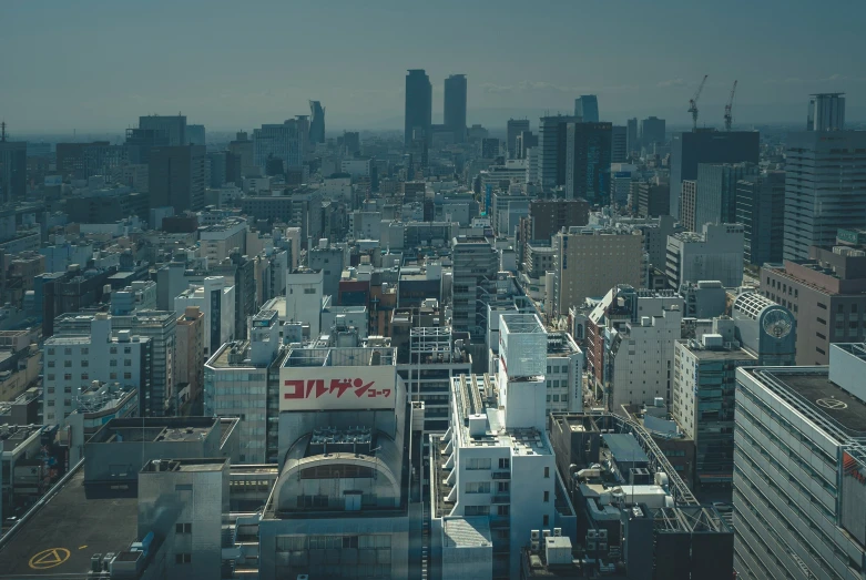 a city skyline with a large number of buildings